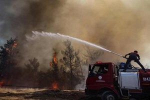 Ola de calor y incendios en Europa
