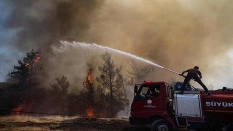 Ola de calor y incendios en Europa