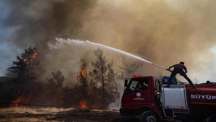 Ola de calor y incendios en Europa