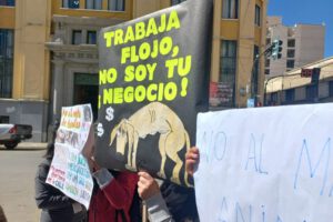 Prohibición de venta de animales en Oruro