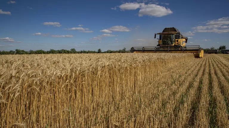 Exportaciones de grano bajo la supervisión de Turquía y la ONU