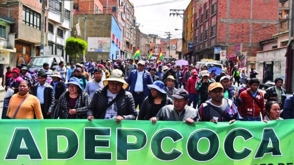 Movilización de Productores de Coca en La Paz