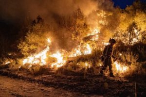 Peligro extremo de incendios en algunas zonas del Sur de Europa