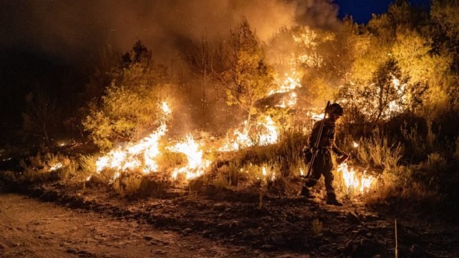 Peligro extremo de incendios en algunas zonas del Sur de Europa