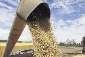 Contrabando de soya en Bolivia y pérdidas económicas