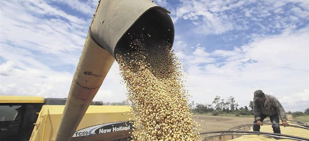 Contrabando de soya en Bolivia y pérdidas económicas
