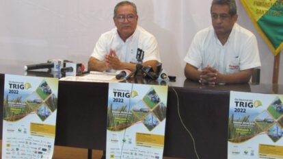 Día Nacional del Trigo en Okinawa