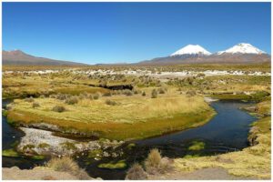 Guardaparques del Sajama en estado de emergencia por impago de sueldos