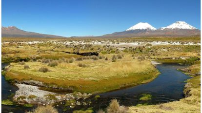Guardaparques del Sajama en estado de emergencia por impago de sueldos
