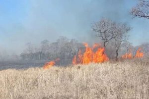 Incendio en San Matías consume 2.000 hectáreas