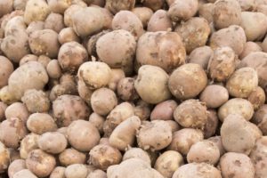 Restricciones a agroexportaciones de Perú
