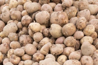 Restricciones a agroexportaciones de Perú