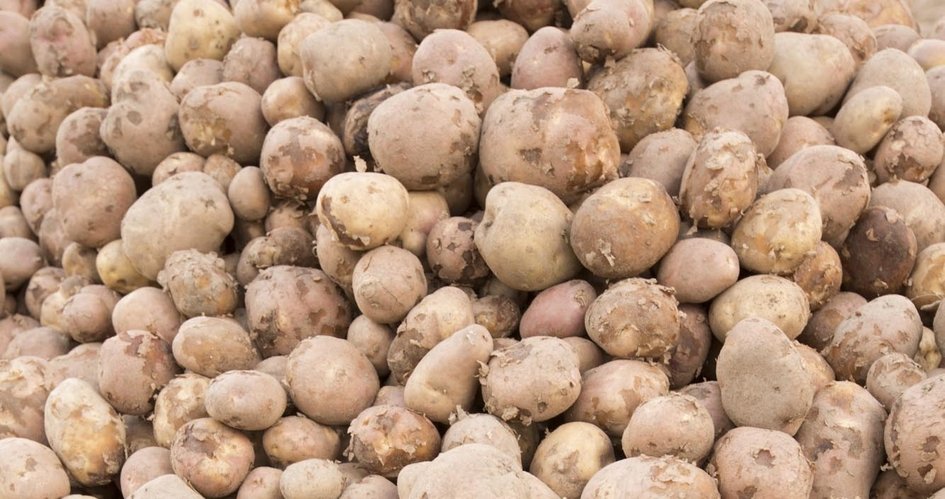Restricciones a agroexportaciones de Perú