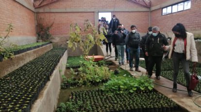 Vivero Forestal Municipal en Socamani produce más de 20.000 plantines al mes