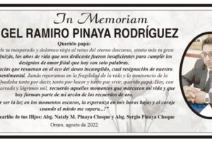 In Memoriam: Ángel Ramiro Pinaya Rodríguez