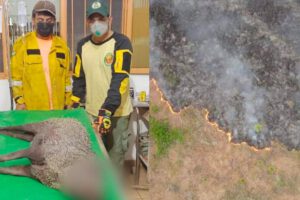 Incendio en parque Otuquis mata a miles de animales