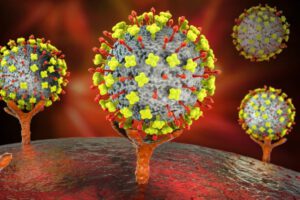 Imagen de un nuevo virus Langya