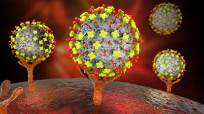 Imagen de un nuevo virus Langya