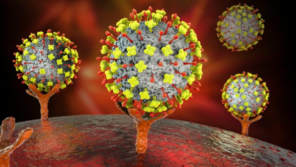 Imagen de un nuevo virus Langya