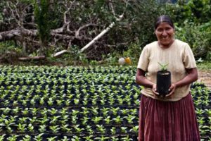 Banco Mundial préstamo Bolivia para productores rurales