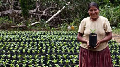 Banco Mundial préstamo Bolivia para productores rurales