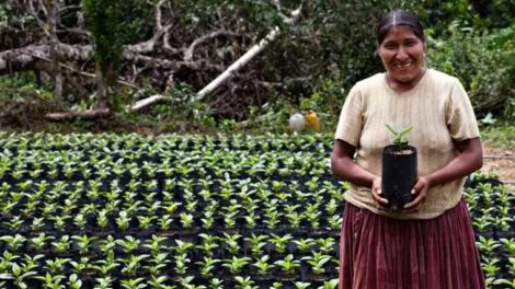 Banco Mundial préstamo Bolivia para productores rurales