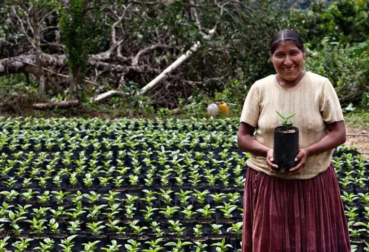 Banco Mundial préstamo Bolivia para productores rurales