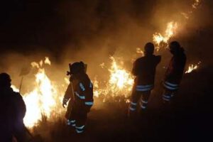 Incendio forestal en La Paz