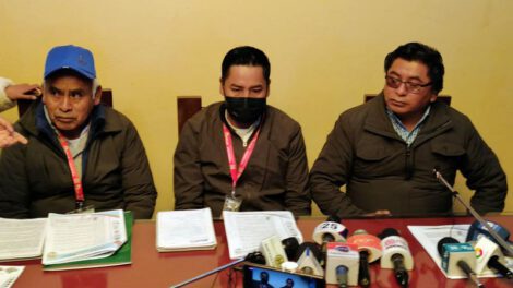 Productores de quinua exigen atención del Gobierno