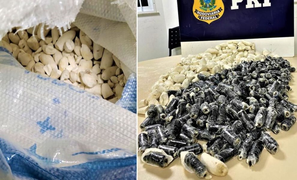 Mujer boliviana droga Brasil