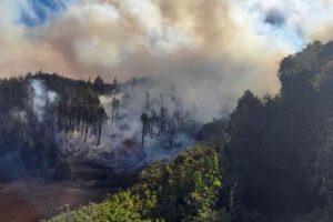 Incendio en Monte Punku amenaza al parque Carrasco