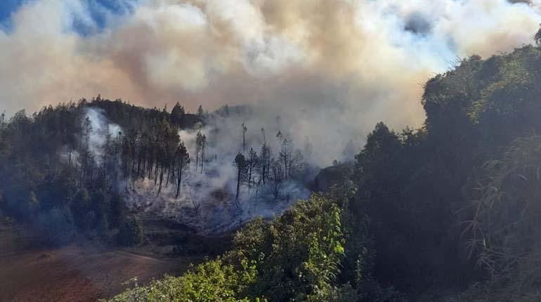 Incendio en Monte Punku amenaza al parque Carrasco