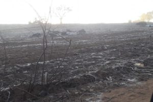 Temperaturas bajo cero continuarán en el occidente del país