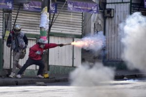 Conflicto Adepcoca y su impacto en perros y gatos