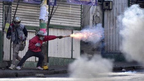 Conflicto Adepcoca y su impacto en perros y gatos