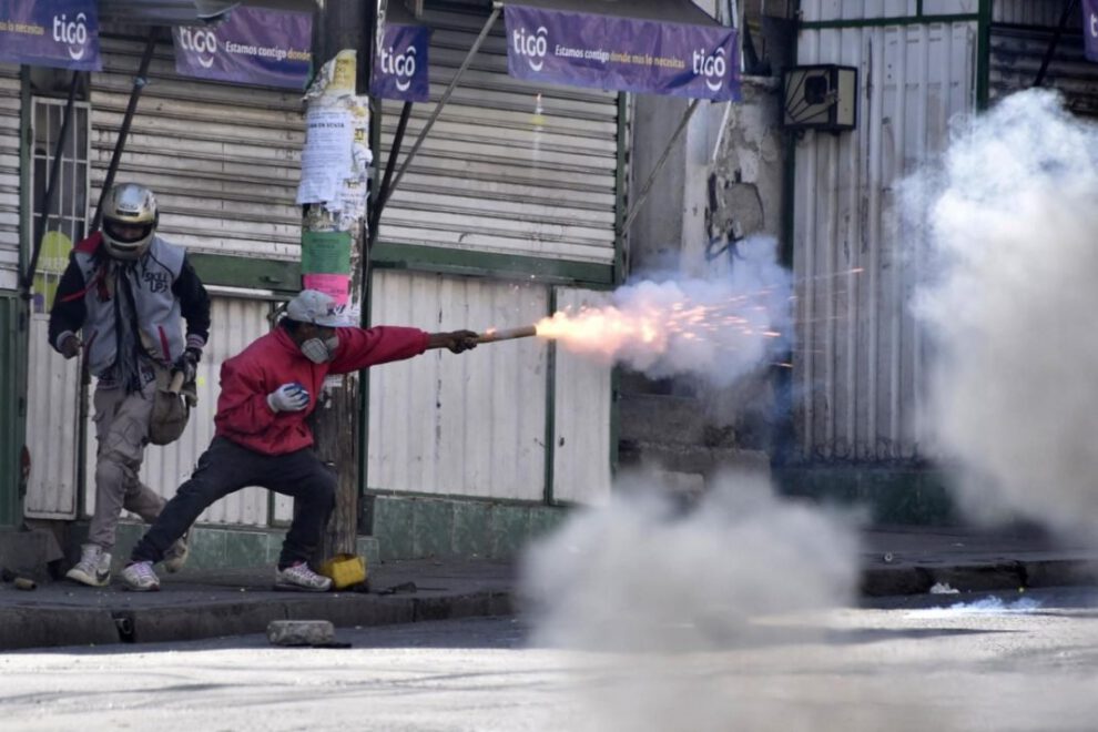 Conflicto Adepcoca y su impacto en perros y gatos