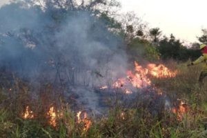 Incendios forestales en Santa Cruz afectan más de 60 mil hectáreas