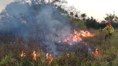 Incendios forestales en Santa Cruz afectan más de 60 mil hectáreas