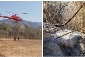 Incendio forestal en municipios cruceños