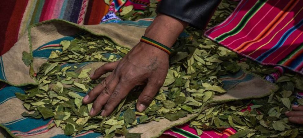 Coca peruana en Bolivia