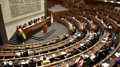Elección del Defensor del Pueblo en la Asamblea Legislativa Plurinacional
