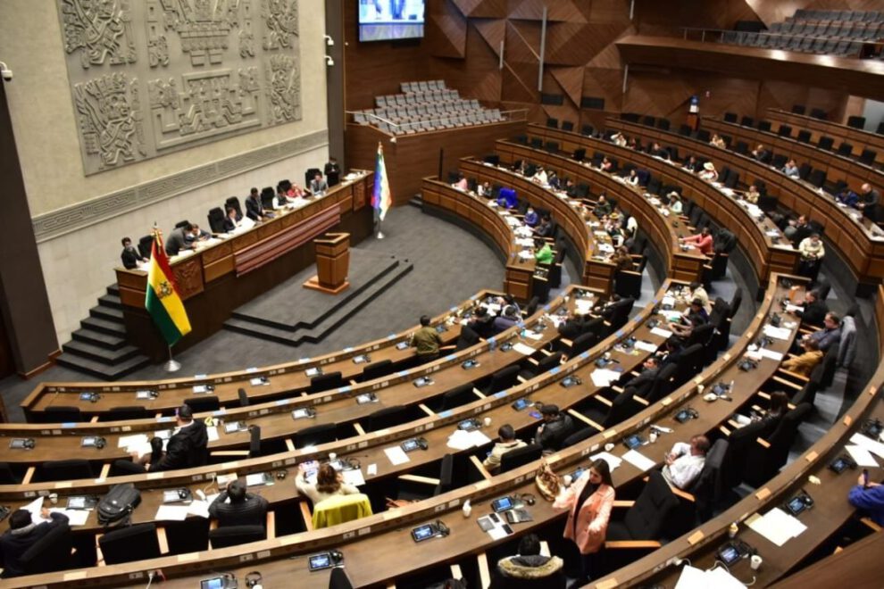 Elección del Defensor del Pueblo en la Asamblea Legislativa Plurinacional