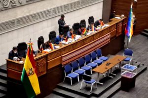 La Asamblea Legislativa Plurinacional durante la sesión para la elección del Defensor del Pueblo