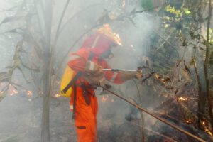 Incendio parque Iténez en Beni