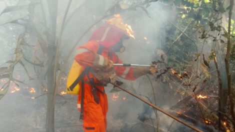 Incendio parque Iténez en Beni
