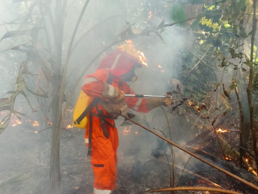 Incendio parque Iténez en Beni