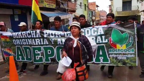 Cocaleros de Yungas marchan hacia La Paz para exigir el cierre del mercado paralelo