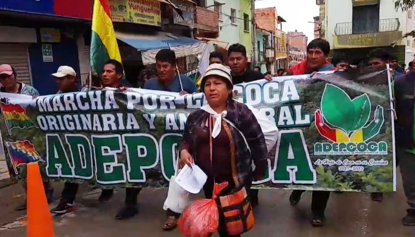 Cocaleros de Yungas marchan hacia La Paz para exigir el cierre del mercado paralelo