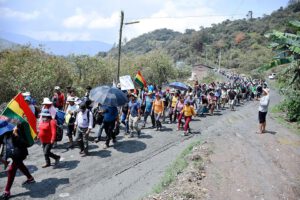 Diálogo cocalero en marcha de productores de coca