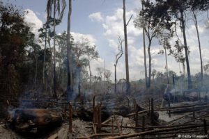 Pérdida de bosques en Venezuela según Clima21